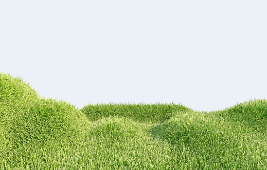 3D render Fluffy green lawn in the foreground against a background of light blue sky.
