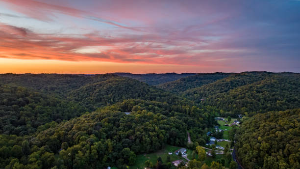 istock Golden Hour Grace: Overhead Glimpse of a Verdant Forest 1691525760