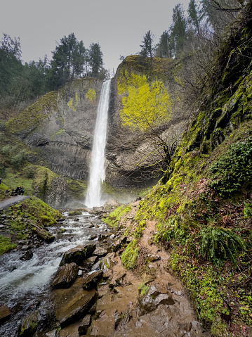 Latourell Falls in Columbia River Gorge, in Oregon. in United States, Oregon, Portland
