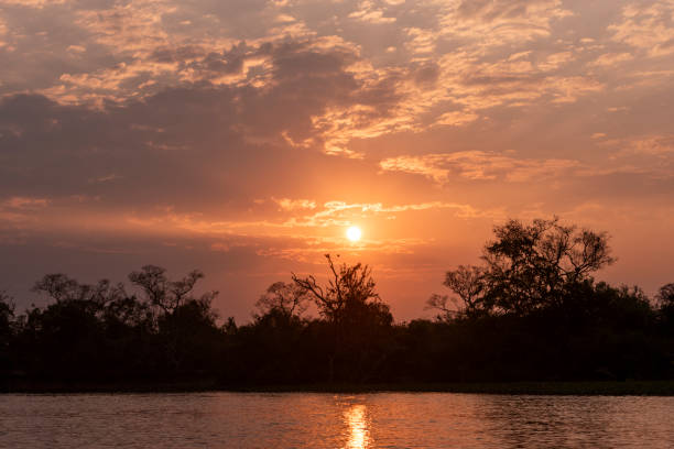 istock Beautiful sunset clouds and landscape by Pixaim River, Pantanal 1691549481