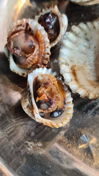 istock Grilled clam close up stock photo 1691592061
