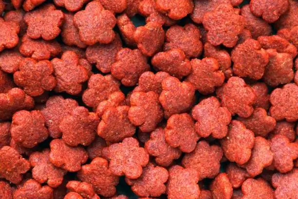 Photo of Close up a top veiw of a red dry pet food for dog and cat, pet food concepts.