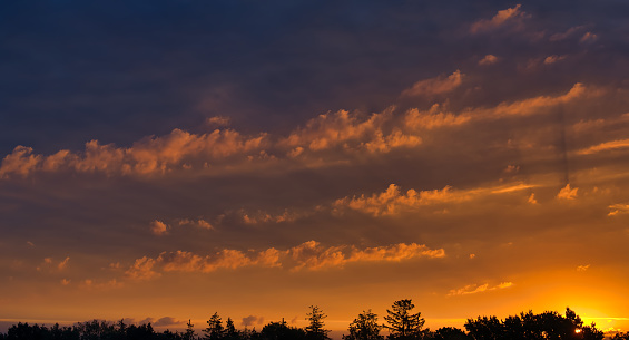 Stunning sunset with sky filled with clouds is beautifully painted with hues of orange reflecting the setting sun, trees provide a contrasting silhouette against the fiery sky