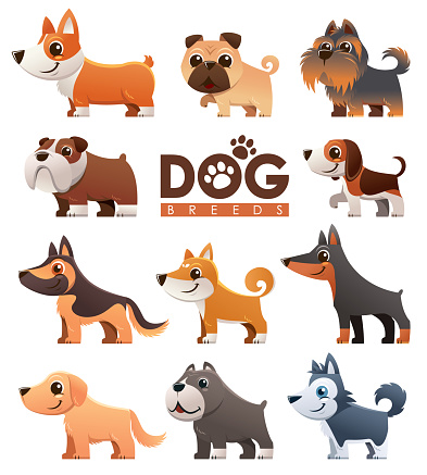 Vector illustration of Cartoon dogs breeds set. Cute dog.