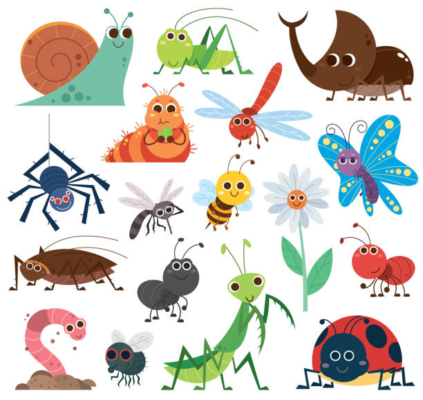 Cute insect Vector Illustration of Cute insect set. Cartoon insects. beetle, butterfly, bee, snail. cockroach spider on flower stock illustrations