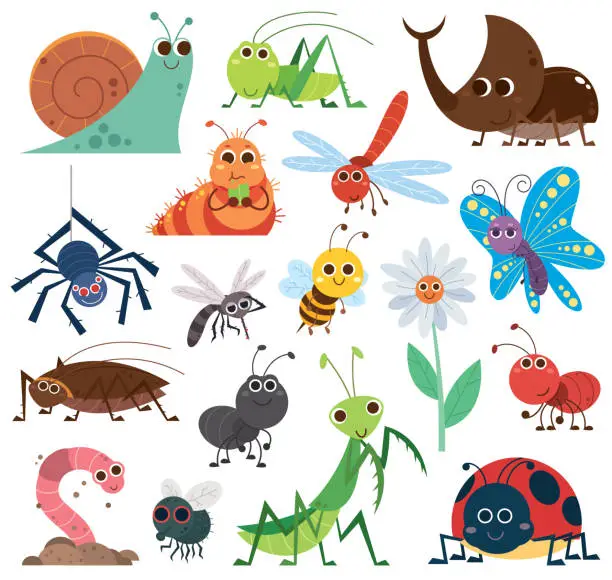 Vector illustration of Cute insect