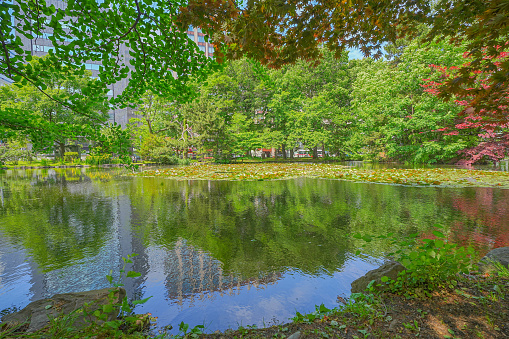 Setagaya Park is a beautiful, little Japenese garden in Austria´s capital Vienna