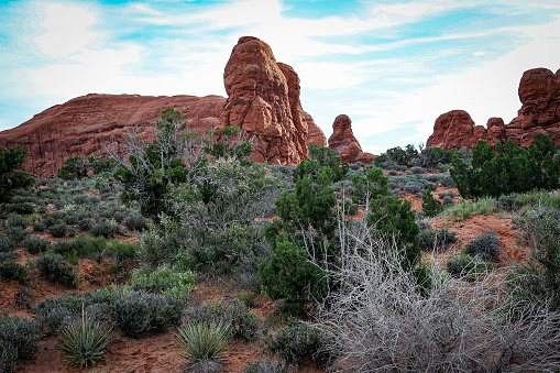 Rock formations in Arches national Park near Moab Utah