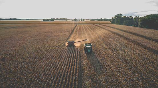 Combine tractor harvesting corn crop in Indiana.
