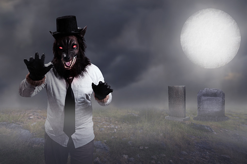 A werewolf in the graveyard with a night scene background. Scary Wolf Halloween concept