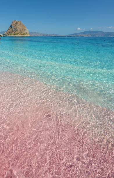 istock Pink Beach in  Komodo Island,Indonesia 1691709368
