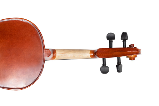 Violin orchestra musical instrument isolated over white background