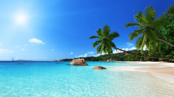 istock Scenic view of a tranquil, sandy beach and turquoise blue ocean waters 1691717427