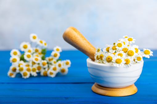 Mortar with a bouquet of chamomile flowers on  background. The concept of natural herbal organic cosmetics, homeopathic cosmetology. Medicinal herbs. Place for text. copy space.