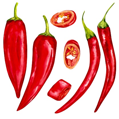 Set of red hot chili peppers. Bright shiny vegetables on a white background. Watercolor illustrations for menu design, textiles, packaging.