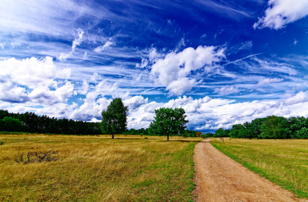 istock a beautiful day in the city 1691782684