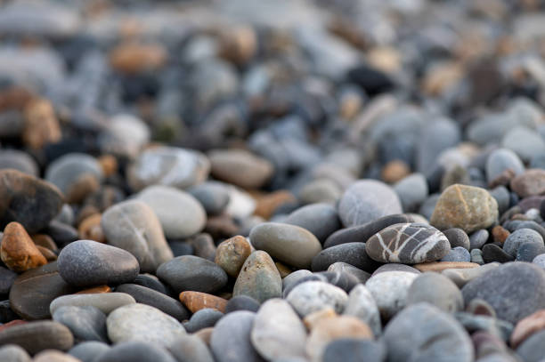 istock Pebble stones on the shore are close up against a blurred background. 1691784888