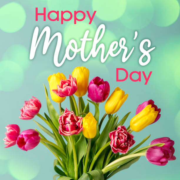 Happy Mother's Day lettering with beautiful tulip flowers. Nice defocused lights bokeh background.