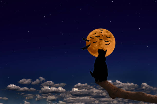 istock Strawberry supermoon rising over the cat on a tree and flying bat 1691799529