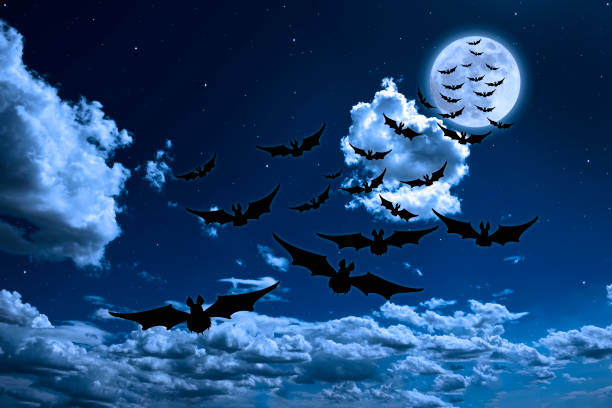 istock Supermoon rising over the flying bats 1691799537