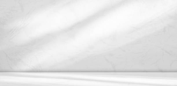 istock Floor Wall Shadow Room Background Studio Home Texture Empty blur Marble Cement Gray Modern Light Kitchen Backdrop Table Product Abstract Leaf Grey Stone 3d Bg Minimal Scene Loft Podium Mockup 1691819800