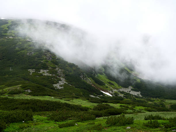 istock Fog, mist and low clouds in Carpathian Mountains, rainy day deep into the mountains. 1691822508