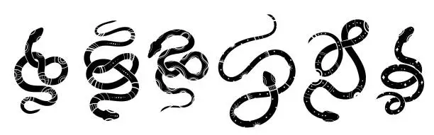 Vector illustration of Vector mystery set of black silhouettes of snakes in various poses. Collection of celestial monochrome cobras and boas