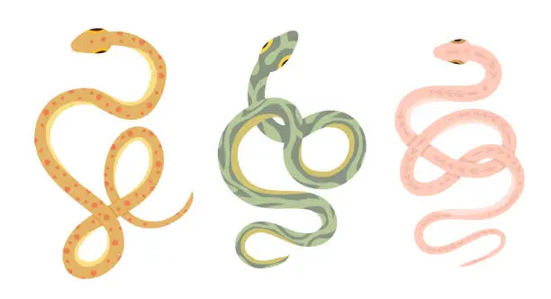 Vector illustration of Vector set of cartoon snakes isolated from background. Clipart collection of serpents in various poses in pastel colors