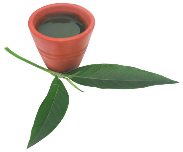 vasica ayurvédica hojas con extracto - vasica fotografías e imágenes de stock