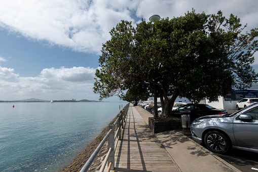 Westhaven Marina waterfront in Auckland, New Zealand