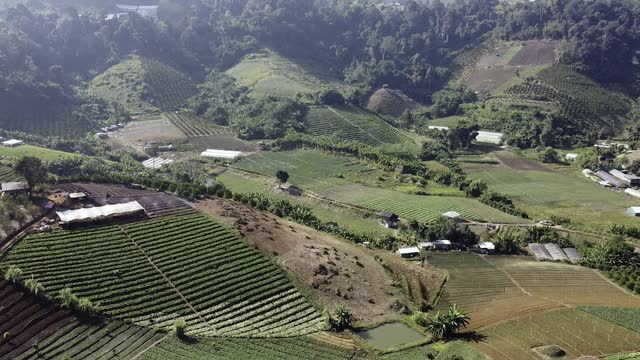 An aerial view of the agricultural fields from a high vantage point.