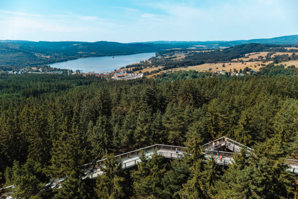 istock Lipno dam in summer. Czech Republic 1691896960