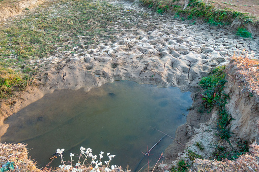 During summers, a pond in the forest of Uttarakhand, India, resembles a drought-stricken reserve. Man-made for wildlife, it serves as a vital water source