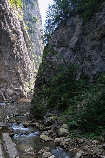Gorge formed by the Bicaz River, in the Carpathian Mountains of Romania
