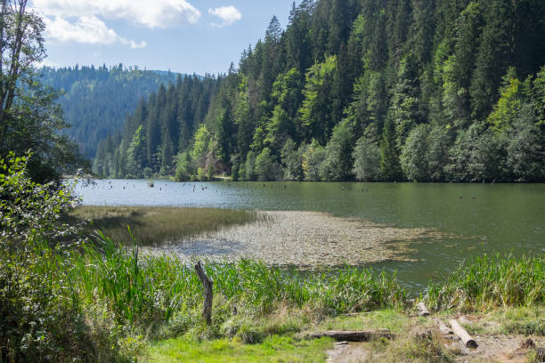istock Forests and the Red Lake in Romania 1691927177