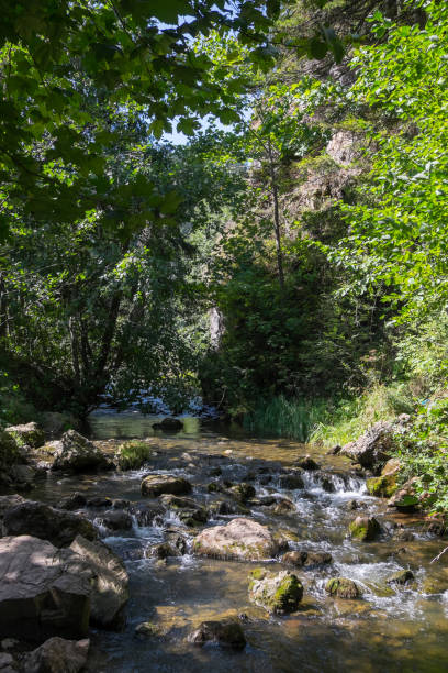 istock Bicaz River in Romania 1691927179