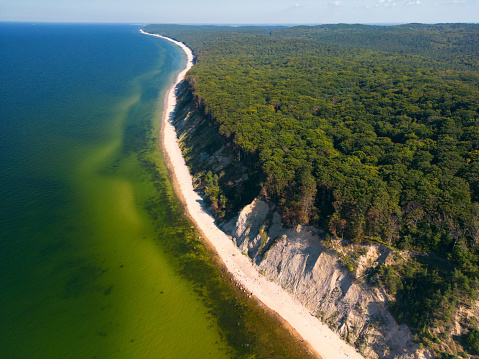 Aerial view of Wolin National Park and Baltic Sea Poland
