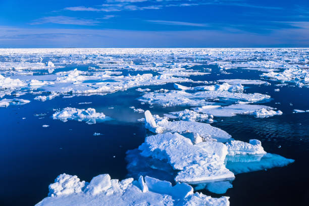 istock Ice floe in the Arctic ocean 1691956940