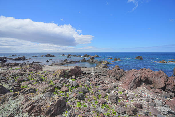 istock Senboushimisaki coast 1691967324