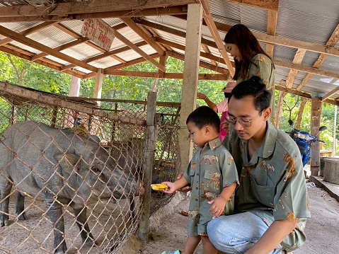 Family and wild boar at Thoen, Lampang, Sukhothai