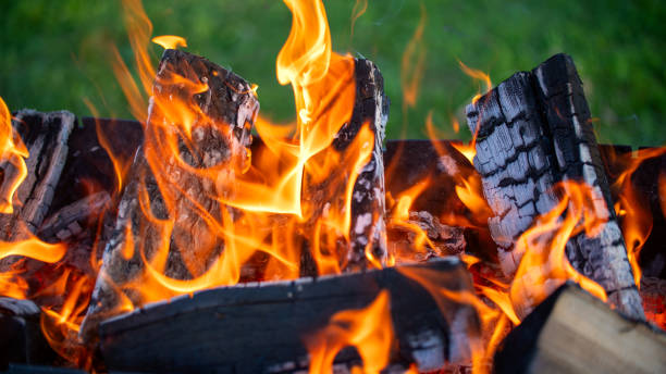 istock Firewood burns in grill super macro, Close-up barbecue and eyebrows, birch coals for barbecue. 1692007519