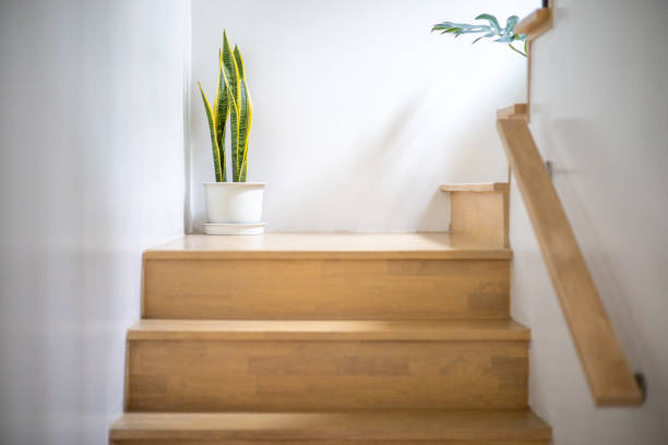 istock Modern natural ash tree wooden stairs in new house interior. Stairs architecture interior design of contemporary, Modern house building stairway. Luxury fashionable modern design studio apartment. 1692012241