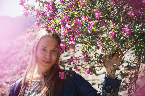 Portrait of young beauty woman in purple rhododendron flowers. Blooming rhododendron - maralnik in Altai mountain forest in the spring.