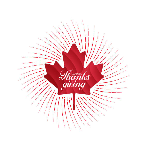 illustrazioni stock, clip art, cartoni animati e icone di tendenza di sfondo artistico del ringraziamento canada con foglia d'acero. semplice banner web vettoriale. illustrazione stock di lettering del canada del ringraziamento - thanksgiving maple leaf abstract autumn