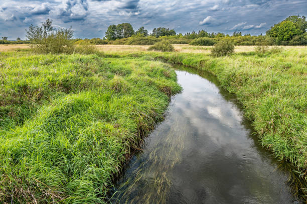 istock Wetlands near Uldum in Denmark 1692038369