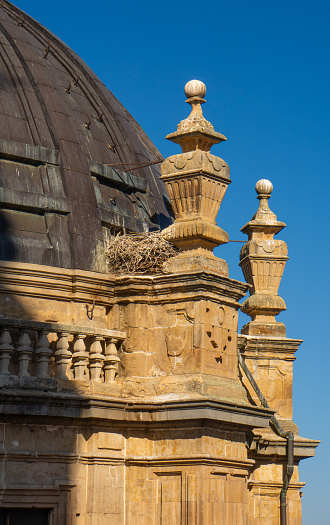 Stork's nest perched and built with branches on the cornice of the dome of the Church of the Clerecia of Salamanca.