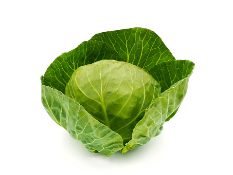 Cabbage, comprising several cultivars of Brassica oleracea, is a leafy green, red, or white biennial plant grown as an annual vegetable crop for its dense-leaved heads.