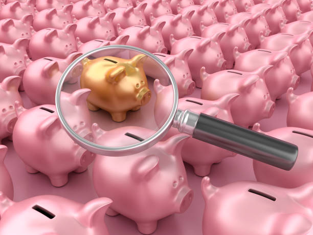 istock Piggy Banks with One Different and Magnifying Glass 1692053061