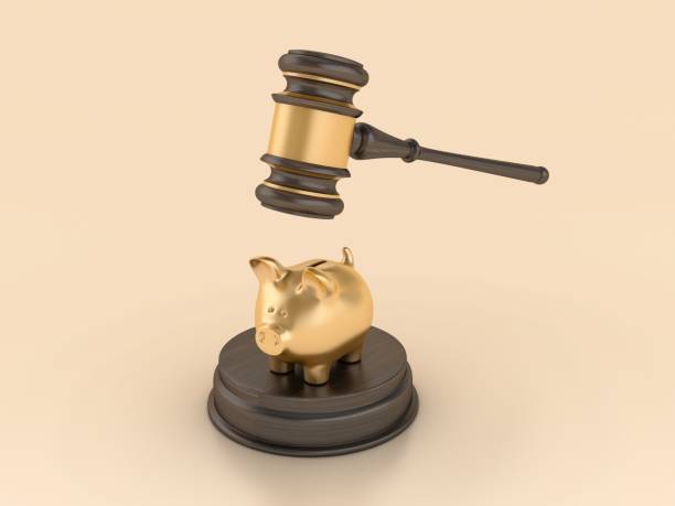 istock Piggy Bank with Gavel 1692056478