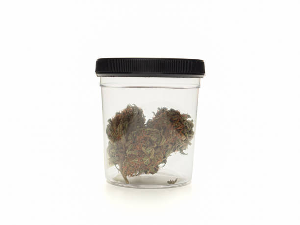 istock Dry cannabis buds in a jar on a white background 1692060525